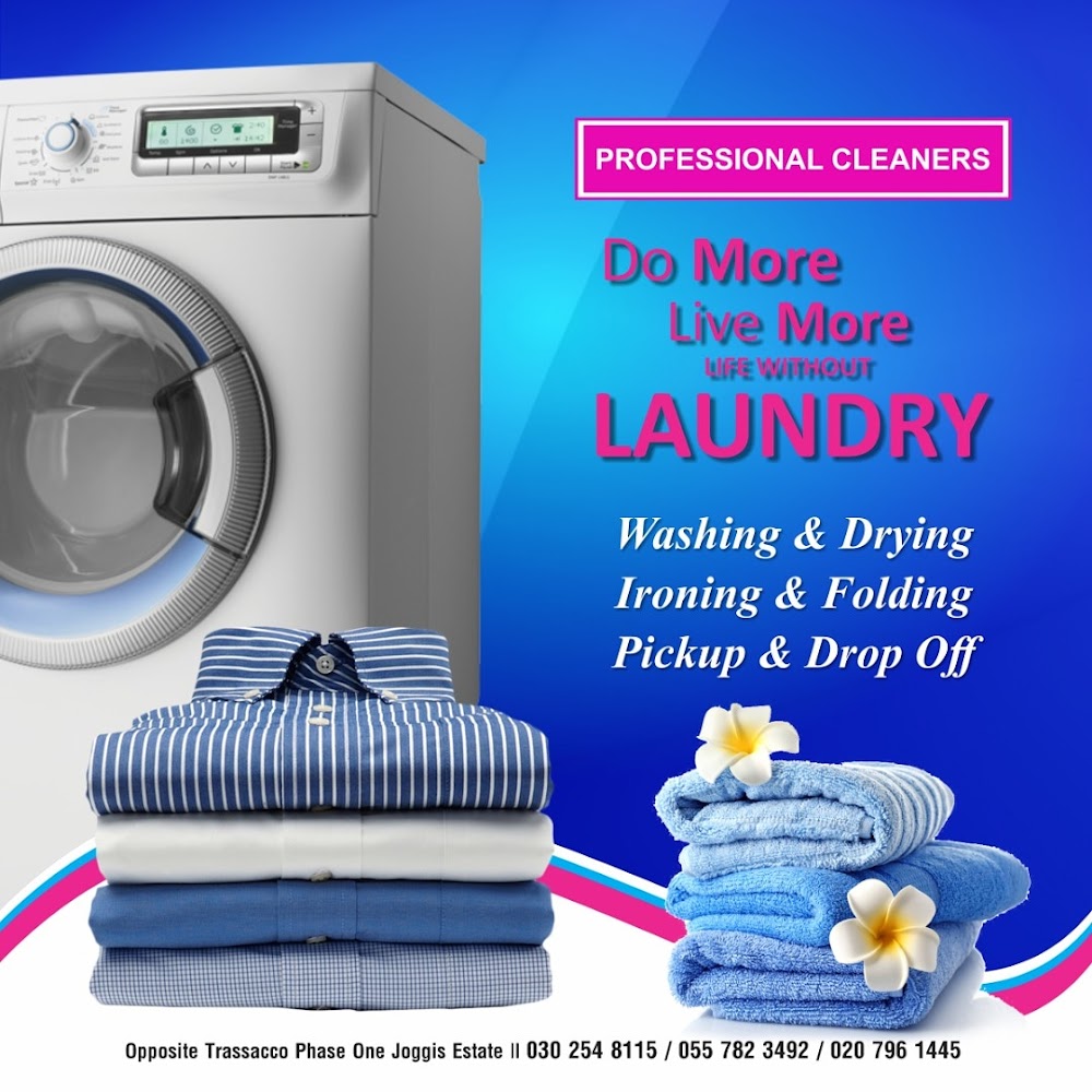 Professional Cleaners GH