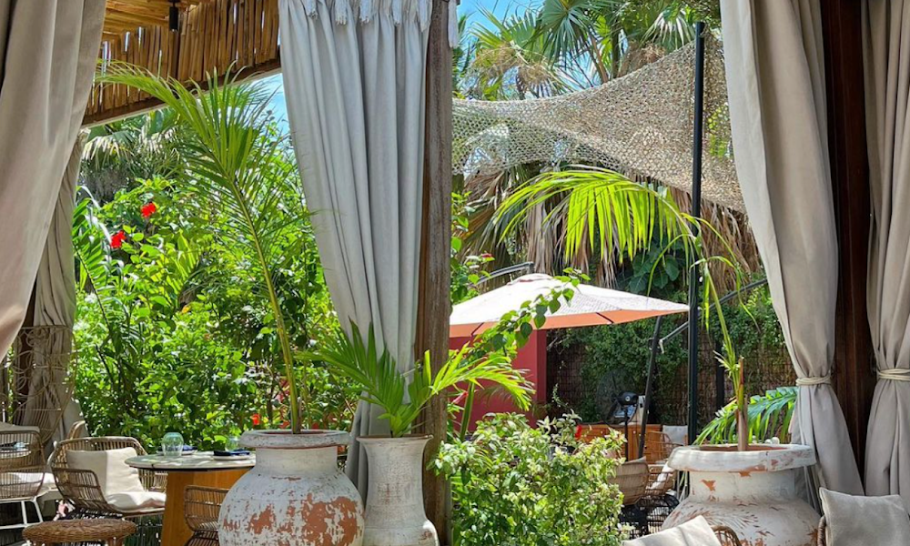 Vine Restaurant